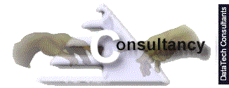 DataTech IT  Consultants Ltd - Consultancy